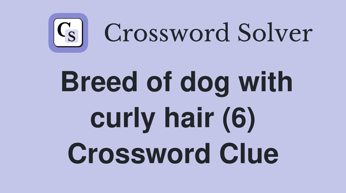 Breed of dog with curly hair (6) Crossword Clue Answers Crossword